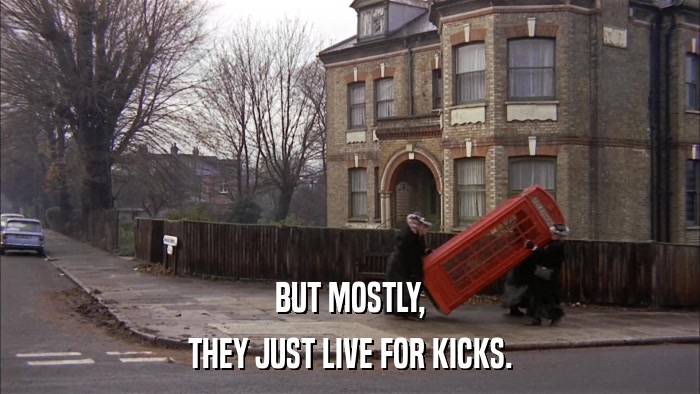 BUT MOSTLY, THEY JUST LIVE FOR KICKS. 