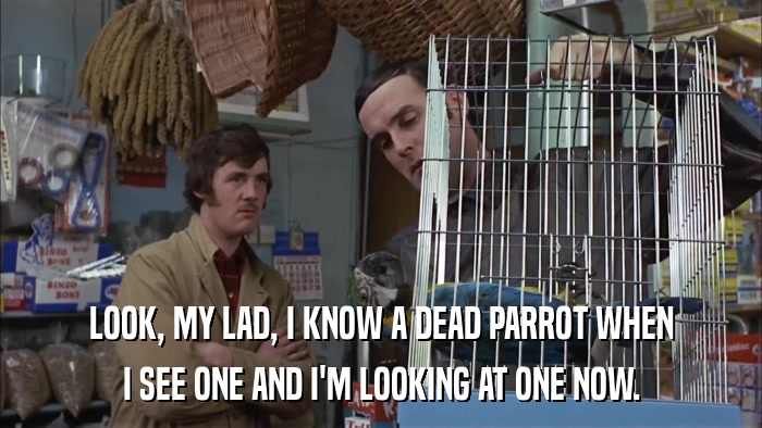 LOOK, MY LAD, I KNOW A DEAD PARROT WHEN I SEE ONE AND I'M LOOKING AT ONE NOW. 
