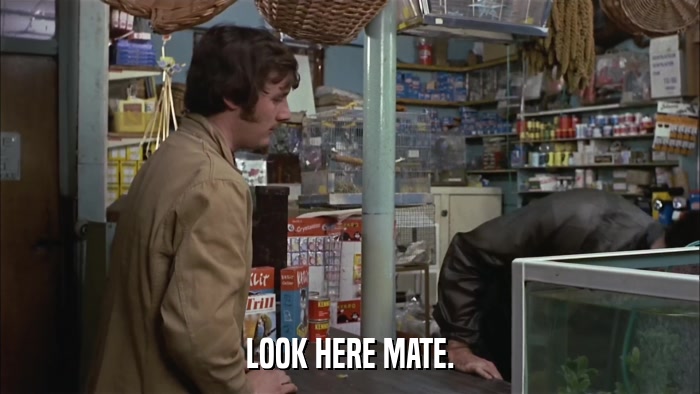 LOOK HERE MATE.  