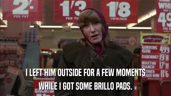 I LEFT HIM OUTSIDE FOR A FEW MOMENTS WHILE I GOT SOME BRILLO PADS. 