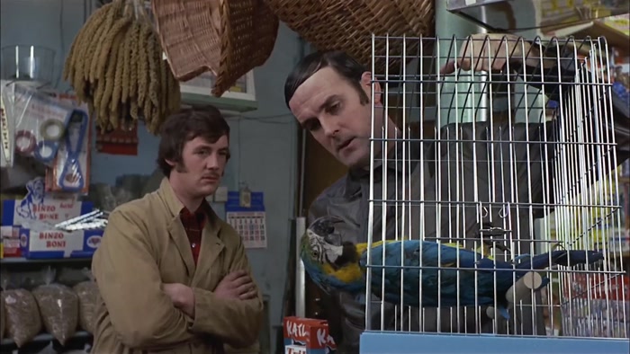 LOOK, MY LAD, I KNOW A DEAD PARROT WHEN I SEE ONE AND I'M LOOKING AT ONE NOW. 