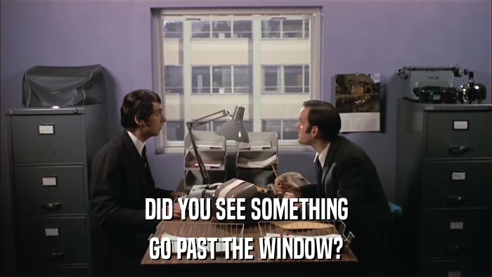 DID YOU SEE SOMETHING GO PAST THE WINDOW? 