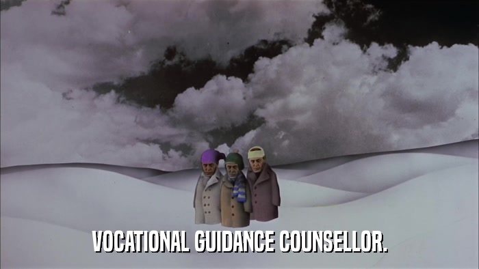 VOCATIONAL GUIDANCE COUNSELLOR.  
