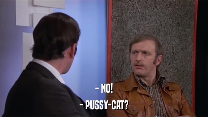 - NO! - PUSSY-CAT? 
