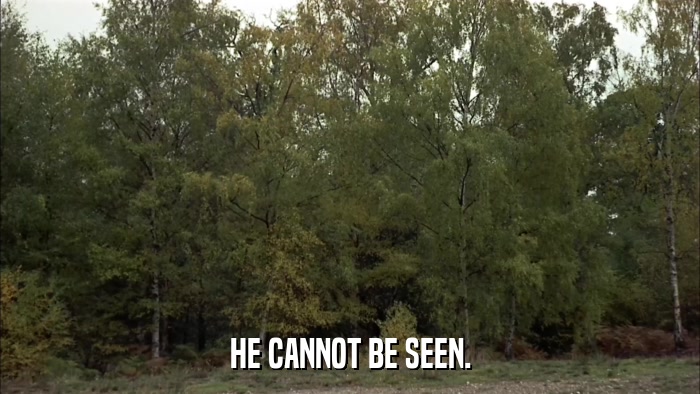 HE CANNOT BE SEEN.  