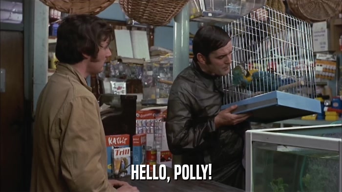HELLO, POLLY!  