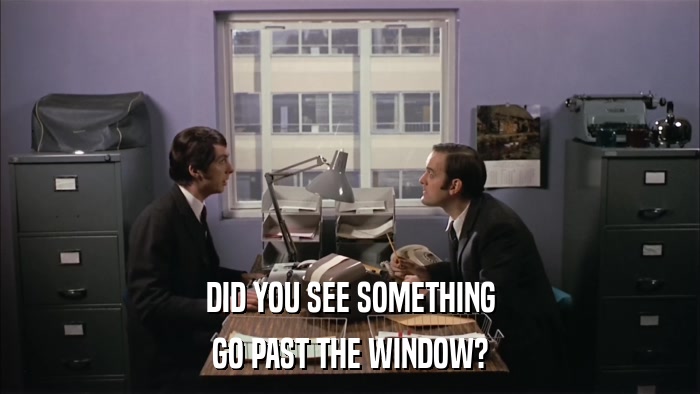DID YOU SEE SOMETHING GO PAST THE WINDOW? 