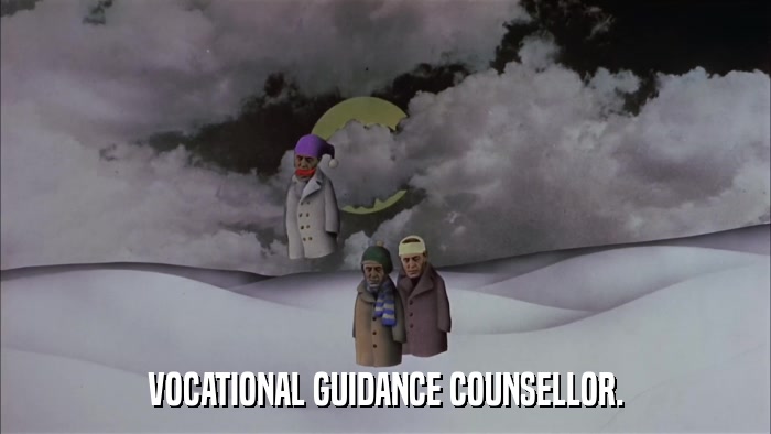 VOCATIONAL GUIDANCE COUNSELLOR.  