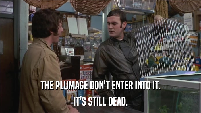 THE PLUMAGE DON'T ENTER INTO IT. IT'S STILL DEAD. 