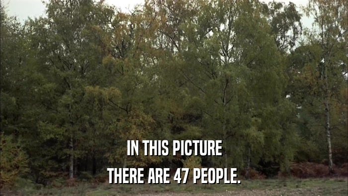 IN THIS PICTURE THERE ARE 47 PEOPLE. 