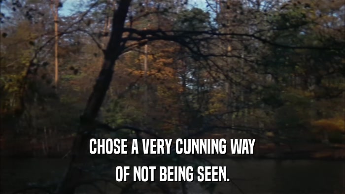 CHOSE A VERY CUNNING WAY OF NOT BEING SEEN. 
