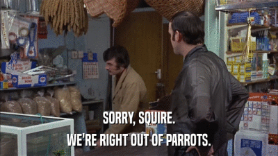 SORRY, SQUIRE. WE'RE RIGHT OUT OF PARROTS. 