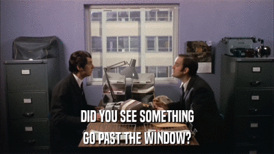 DID YOU SEE SOMETHING GO PAST THE WINDOW? 