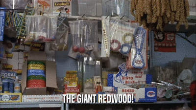 THE GIANT REDWOOD!  