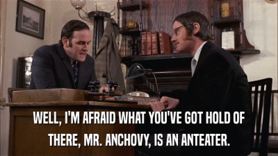 WELL, I'M AFRAID WHAT YOU'VE GOT HOLD OF THERE, MR. ANCHOVY, IS AN ANTEATER. 
