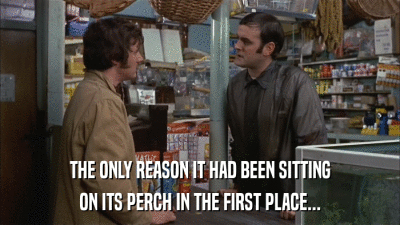 THE ONLY REASON IT HAD BEEN SITTING ON ITS PERCH IN THE FIRST PLACE... 