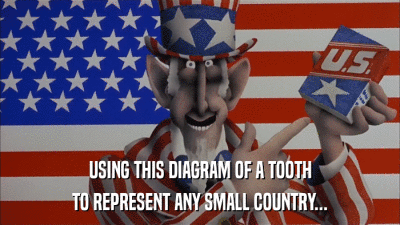 USING THIS DIAGRAM OF A TOOTH TO REPRESENT ANY SMALL COUNTRY... 