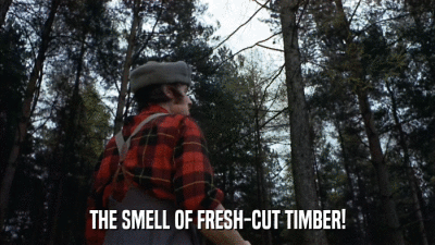 THE SMELL OF FRESH-CUT TIMBER!  