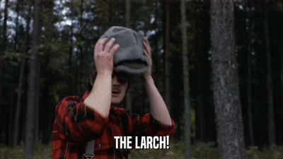 THE LARCH!  