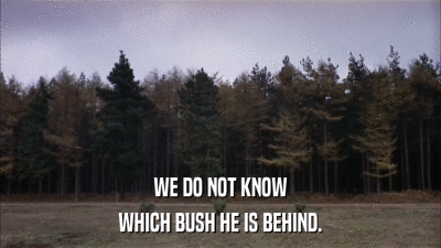 WE DO NOT KNOW WHICH BUSH HE IS BEHIND. 