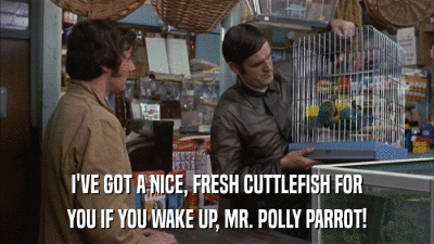 I'VE GOT A NICE, FRESH CUTTLEFISH FOR YOU IF YOU WAKE UP, MR. POLLY PARROT! 