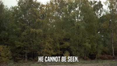 HE CANNOT BE SEEN.  