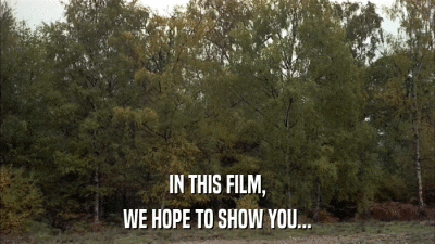 IN THIS FILM, WE HOPE TO SHOW YOU... 