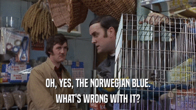 OH, YES, THE NORWEGIAN BLUE. WHAT'S WRONG WITH IT? 