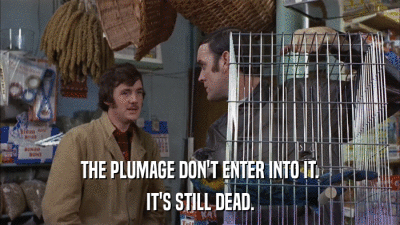 THE PLUMAGE DON'T ENTER INTO IT. IT'S STILL DEAD. 
