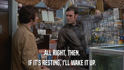 ALL RIGHT, THEN. IF IT'S RESTING, I'LL WAKE IT UP. 