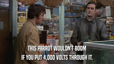 THIS PARROT WOULDN'T BOOM IF YOU PUT 4,000 VOLTS THROUGH IT. 