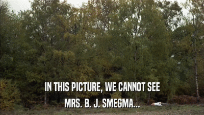 IN THIS PICTURE, WE CANNOT SEE MRS. B. J. SMEGMA... 