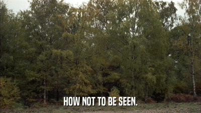 HOW NOT TO BE SEEN.  