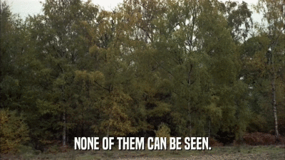 NONE OF THEM CAN BE SEEN.  