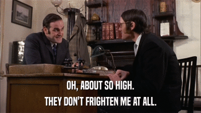 OH, ABOUT SO HIGH. THEY DON'T FRIGHTEN ME AT ALL. 