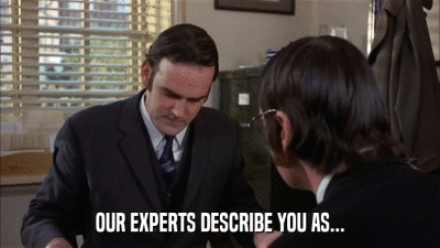 OUR EXPERTS DESCRIBE YOU AS...  