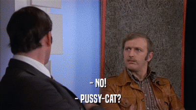 - NO! - PUSSY-CAT? 