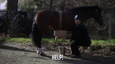 HELP!  
