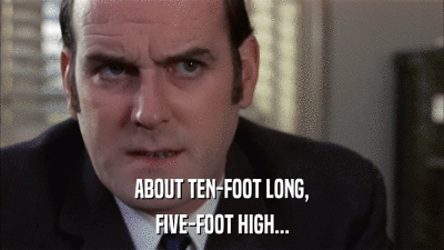 ABOUT TEN-FOOT LONG, FIVE-FOOT HIGH... 