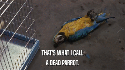 THAT'S WHAT I CALL A DEAD PARROT. 