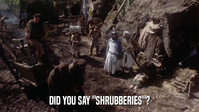 DID YOU SAY 