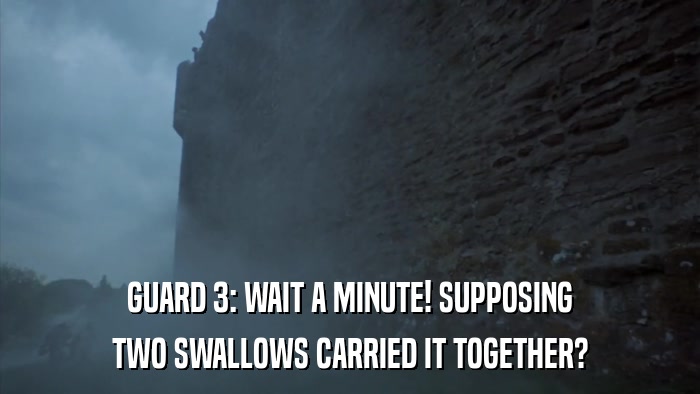 GUARD 3: WAIT A MINUTE! SUPPOSING TWO SWALLOWS CARRIED IT TOGETHER? 