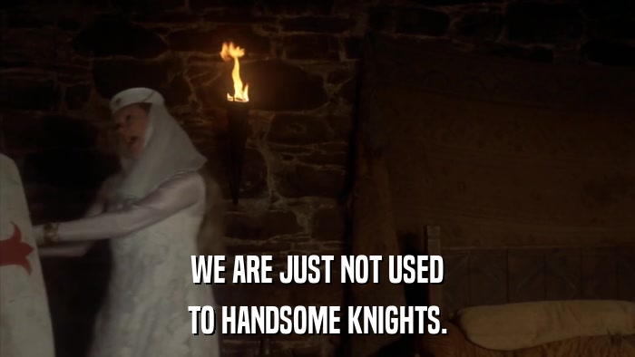 WE ARE JUST NOT USED TO HANDSOME KNIGHTS. 