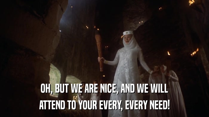 OH, BUT WE ARE NICE, AND WE WILL ATTEND TO YOUR EVERY, EVERY NEED! 