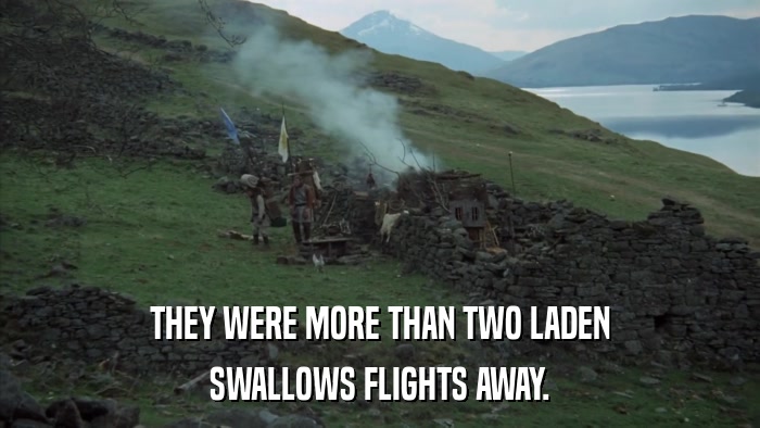 THEY WERE MORE THAN TWO LADEN SWALLOWS FLIGHTS AWAY. 