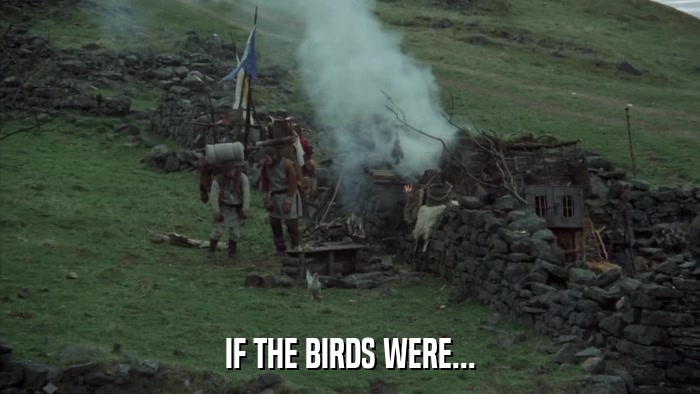 IF THE BIRDS WERE...  