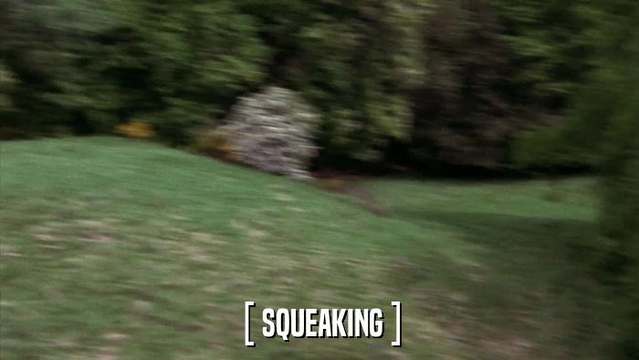 [ SQUEAKING ]  