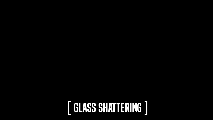 [ GLASS SHATTERING ]  