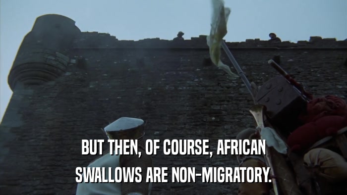 BUT THEN, OF COURSE, AFRICAN SWALLOWS ARE NON-MIGRATORY. 