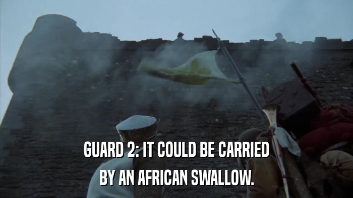 GUARD 2: IT COULD BE CARRIED BY AN AFRICAN SWALLOW. 